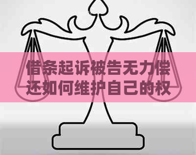 借条起诉被告无力偿还如何维护自己的权益