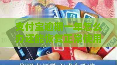 支付宝逾期一年怎么办还能恢复正常使用吗