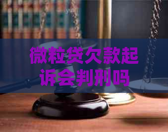 微粒贷欠款起诉会判刑吗