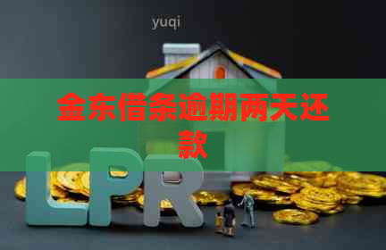 金东借条逾期两天还款