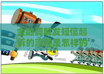 金融调解发短信起诉的流程是怎样的