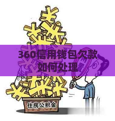 360信用钱包欠款如何处理