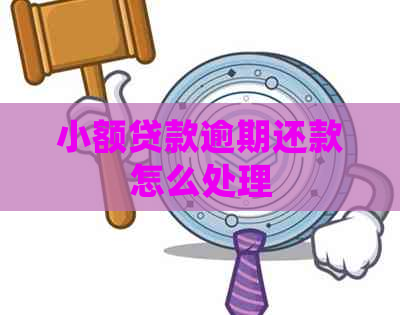 小额贷款逾期还款怎么处理