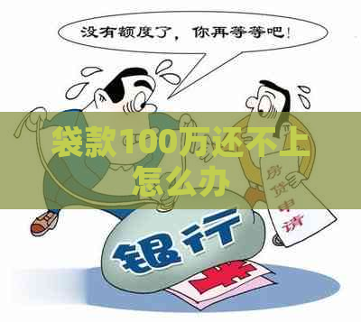 袋款100万还不上怎么办