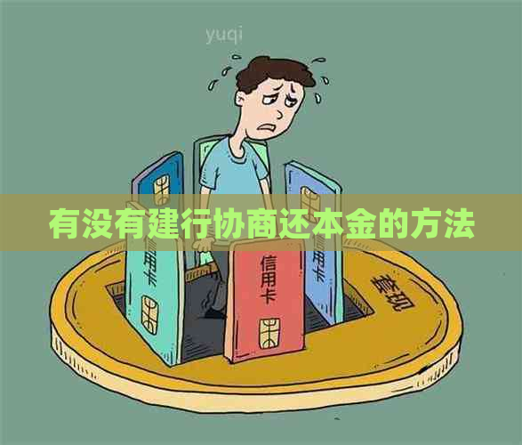 有没有建行协商还本金的方法