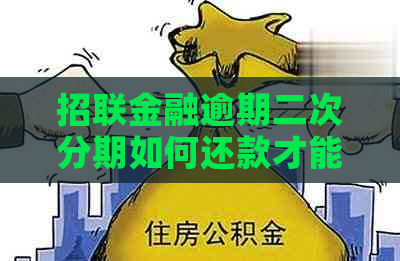 招联金融逾期二次分期如何还款才能避免罚息