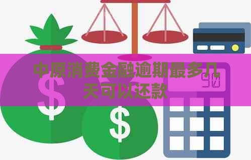 中原消费金融逾期最多几天可以还款