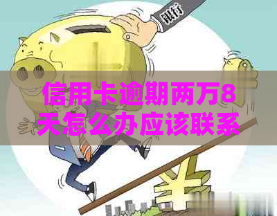 信用卡逾期两万8天怎么办应该联系银行还款