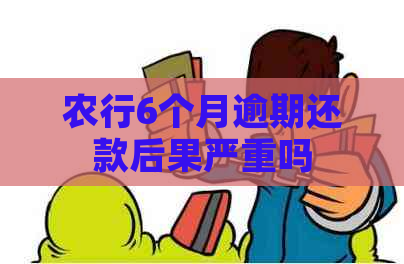 农行6个月逾期还款后果严重吗