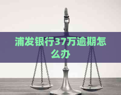 浦发银行37万逾期怎么办