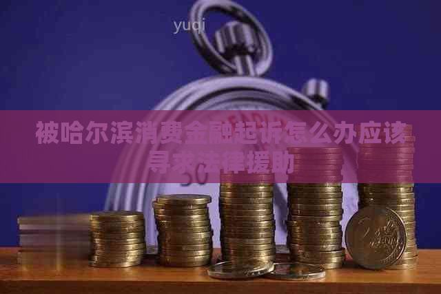 被哈尔滨消费金融起诉怎么办应该寻求法律援助