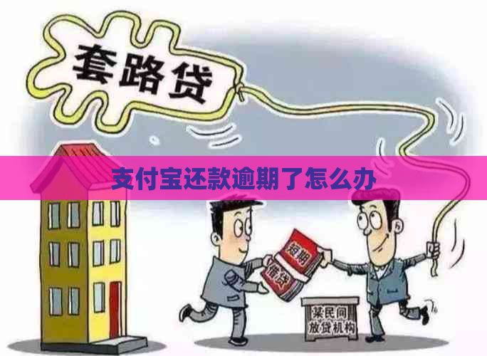 支付宝还款逾期了怎么办