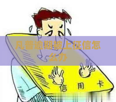 凡普逾期被上怎么办