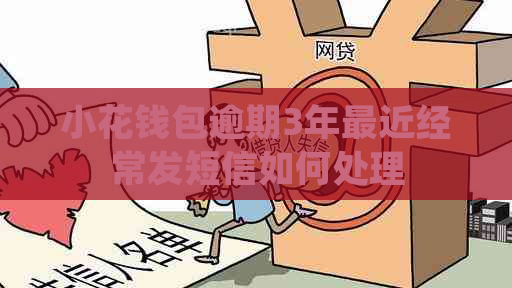 小花钱包逾期3年最近经常发短信如何处理