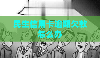 民生信用卡逾期欠款怎么办