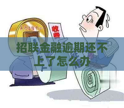 招联金融逾期还不上了怎么办