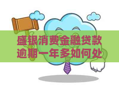 盛银消费金融贷款逾期一年多如何处理