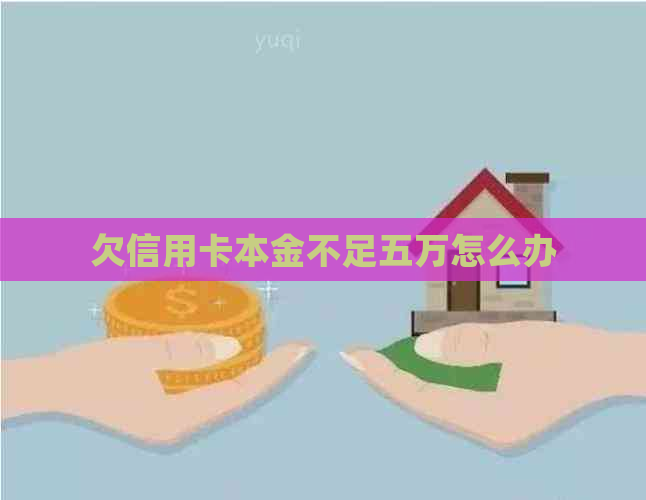 欠信用卡本金不足五万怎么办