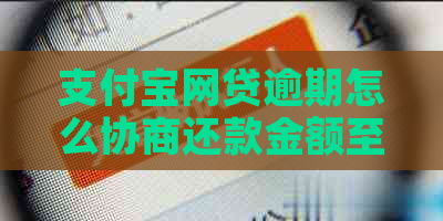 支付宝网贷逾期怎么协商还款金额至何种程度