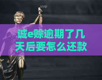 诚e赊逾期了几天后要怎么还款才好