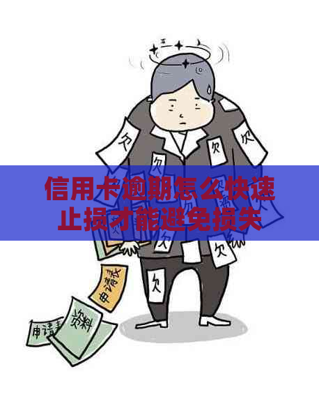 信用卡逾期怎么快速止损才能避免损失