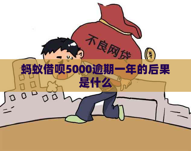 蚂蚁借呗5000逾期一年的后果是什么