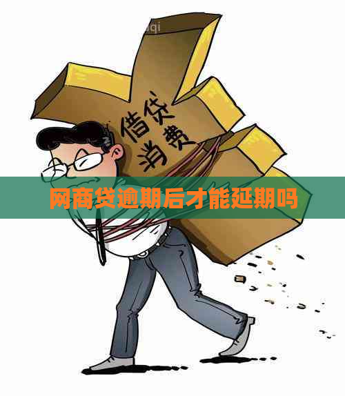 网商贷逾期后才能延期吗