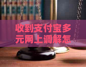 收到支付宝多元网上调解怎么办