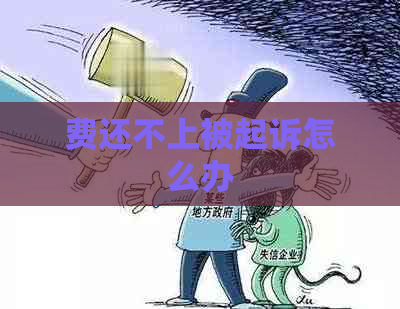 费还不上被起诉怎么办