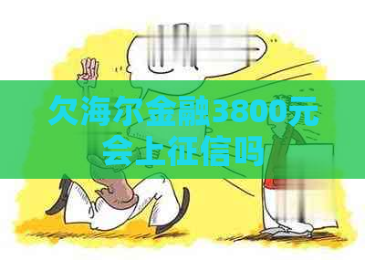 欠海尔金融3800元会上吗