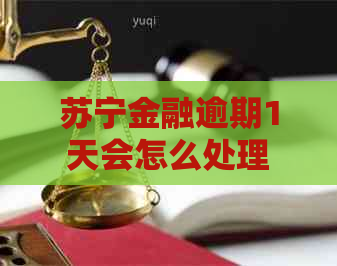 苏宁金融逾期1天会怎么处理