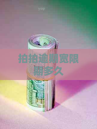 拍拍逾期宽限期多久