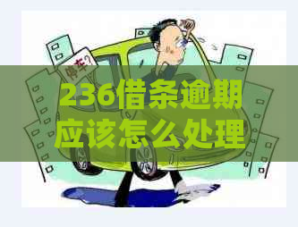 236借条逾期应该怎么处理