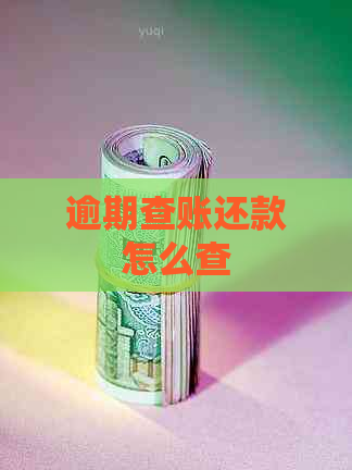 逾期查账还款怎么查