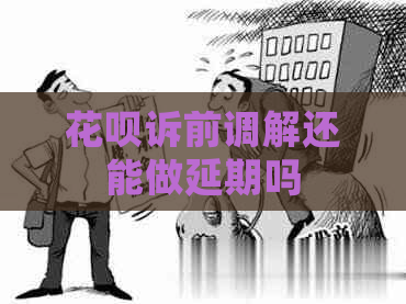 花呗诉前调解还能做延期吗