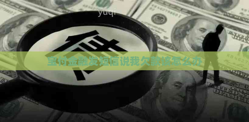 宝付金融发短信说我欠款该怎么办