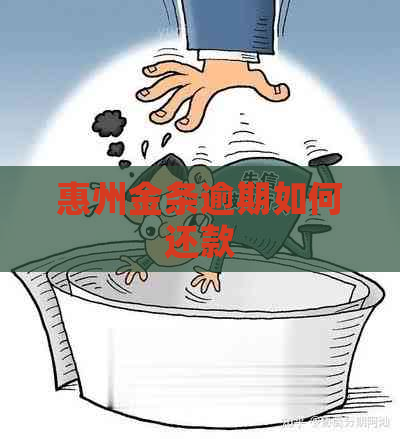 惠州金条逾期如何还款