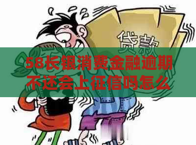 58长银消费金融逾期不还会上吗怎么办