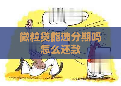 微粒贷能选分期吗怎么还款