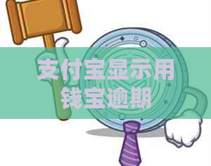 支付宝显示用钱宝逾期