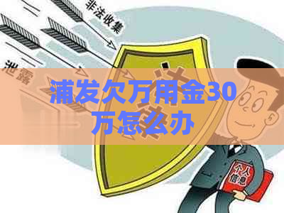 浦发欠万用金30万怎么办