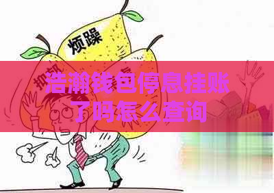 浩瀚钱包停息挂账了吗怎么查询