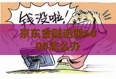 京东金融逾期6000怎么办