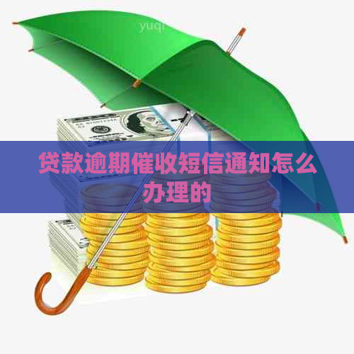 贷款逾期短信通知怎么办理的