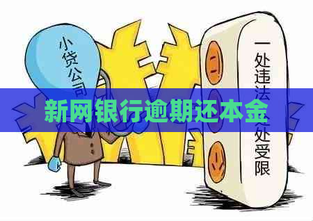 新网银行逾期还本金