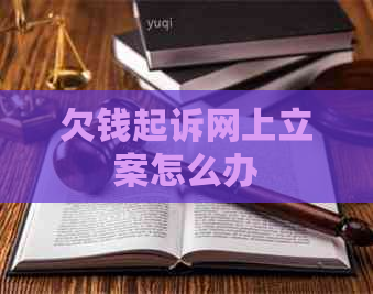 欠钱起诉网上立案怎么办