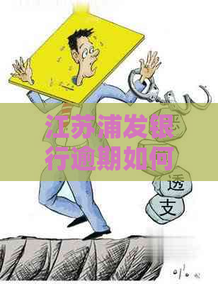 江苏浦发银行逾期如何协商