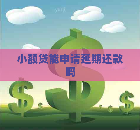 小额贷能申请延期还款吗