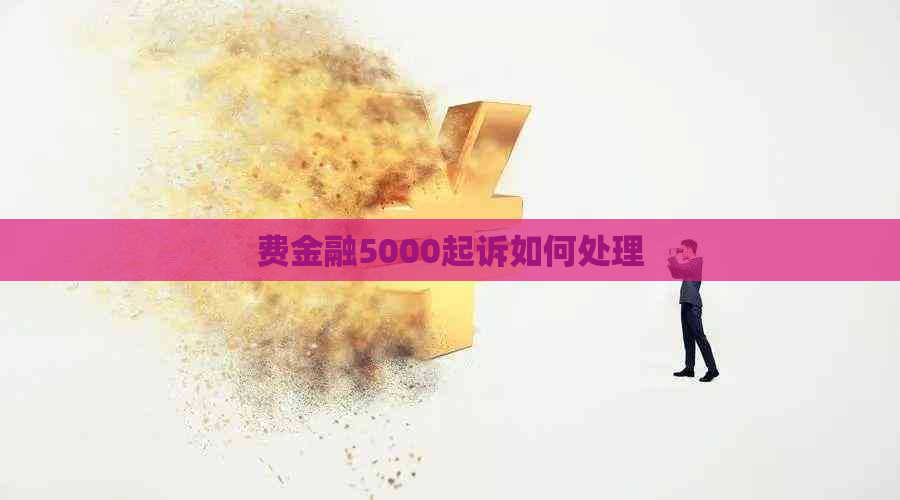 费金融5000起诉如何处理