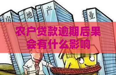 农户贷款逾期后果会有什么影响